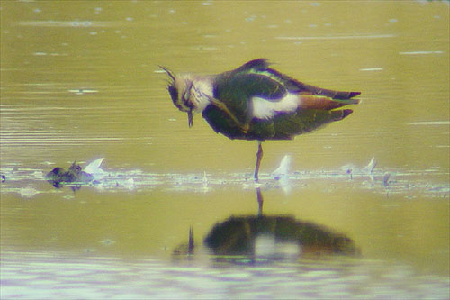 maar foto's van 2003