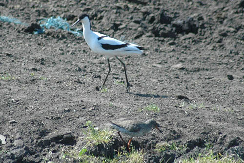 meer foto's van dit conflict