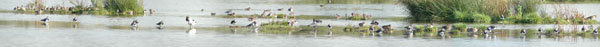 new window: panorama 2004 03